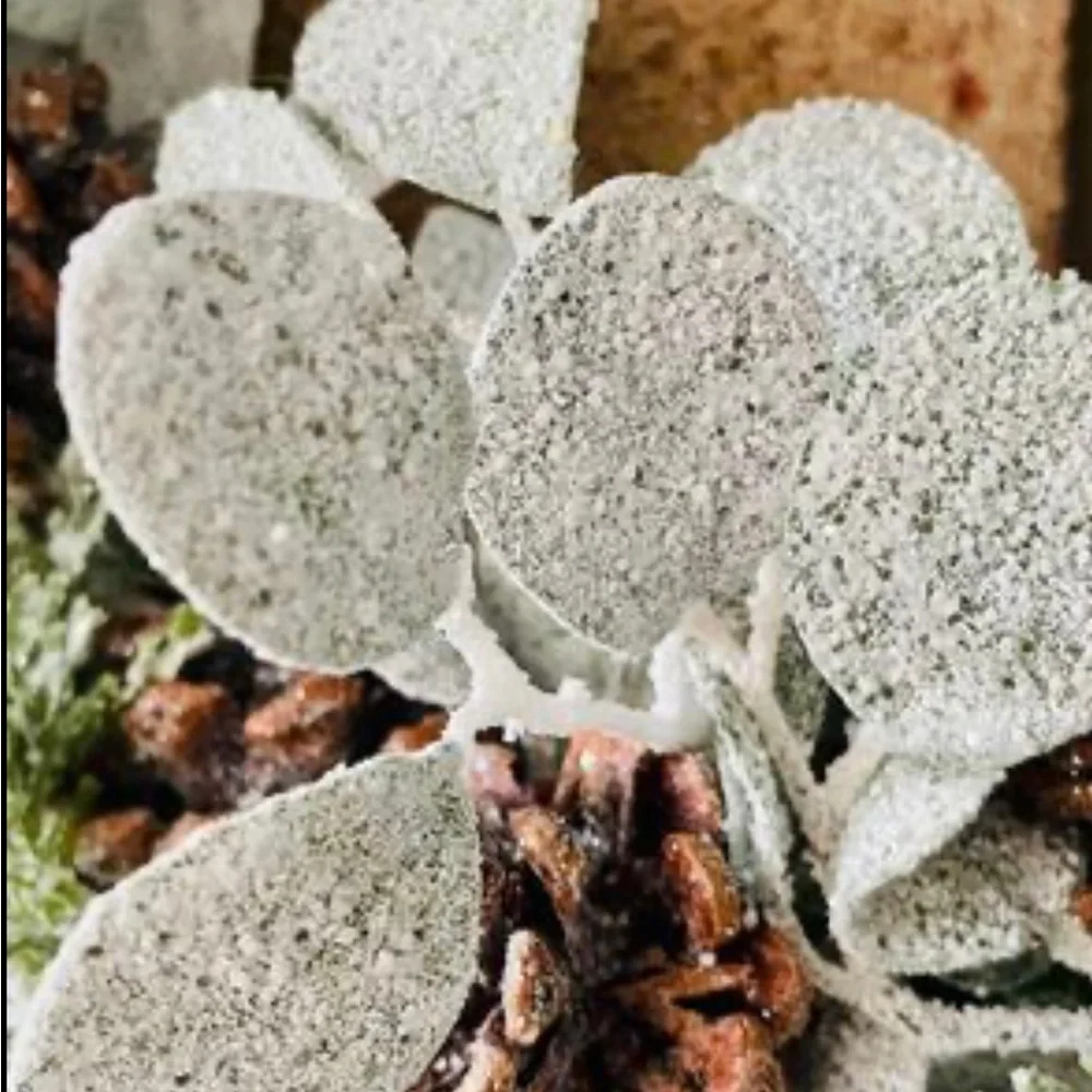 *Silver Dollar Shine Wreath